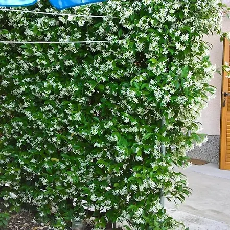 בית הארחה In With Balcony, Wifi 4827-5